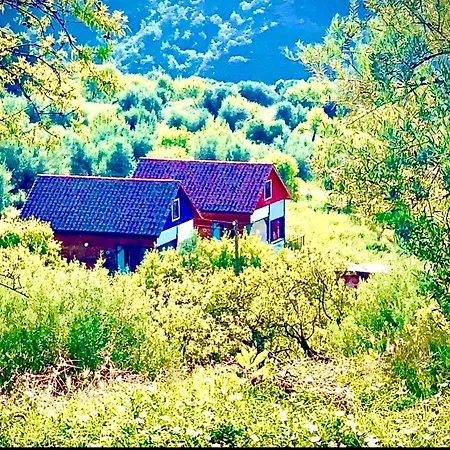 La Jayma Del Arte Appartement *