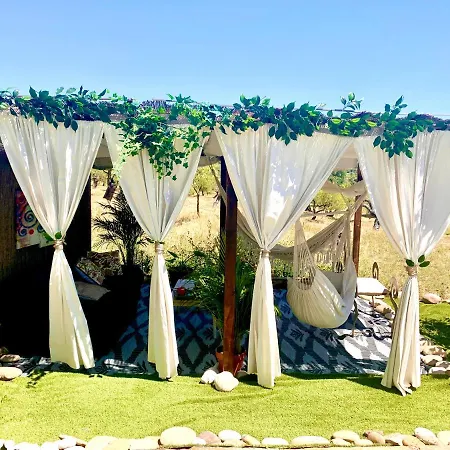 La Jayma Del Arte * Asque