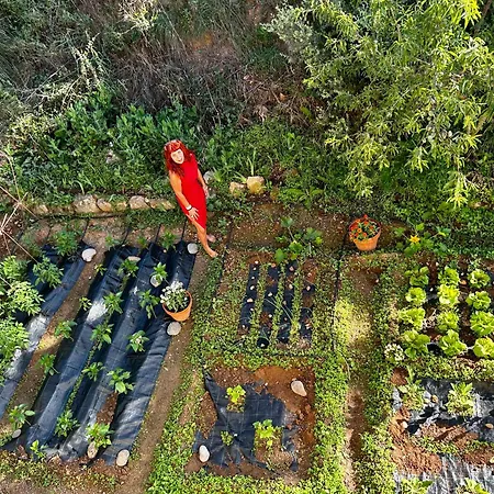 La Jayma Del Arte Appartement *