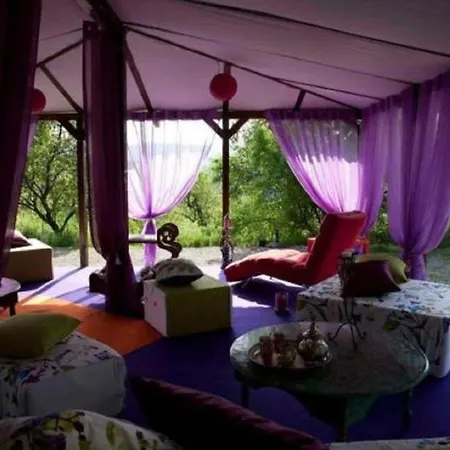 La Jayma Del Arte * Asque