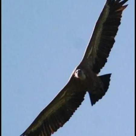 Appartement La Jayma Del Arte Asque