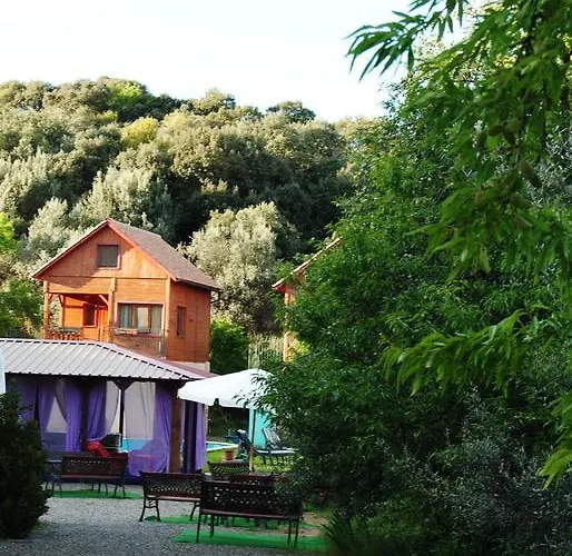 La Jayma Del Arte * Asque