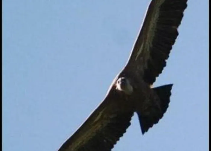 Appartement La Jayma Del Arte Asque